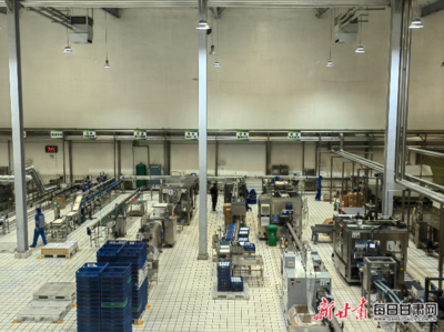 科技引领“甘味”庄园乳品热销市场--甘肃农垦庄园牧场挖掘地域特色研发新产品